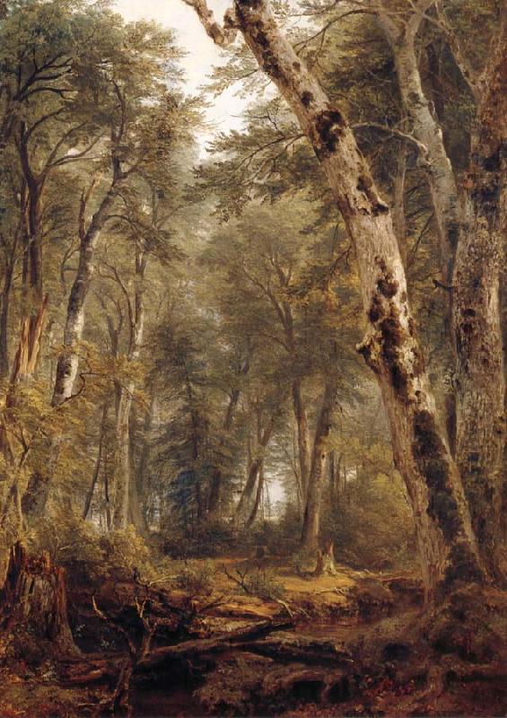 Asher Brown Durand Study Woodland interior china oil painting image